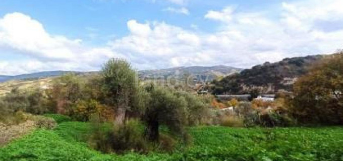 Αγροτικό αγροτεμάχιο προς πώληση - Πάφος