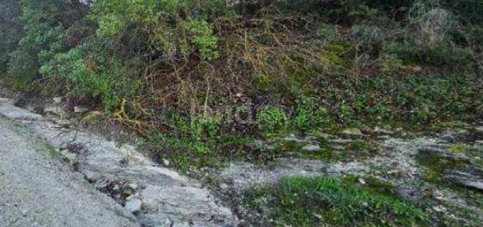 Campo agrícola a la venta en Paphos