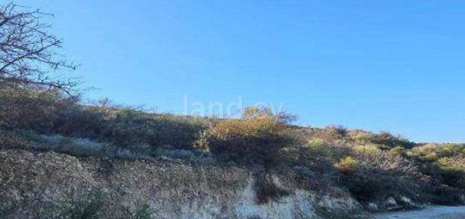 Campo agrícola a la venta en Paphos