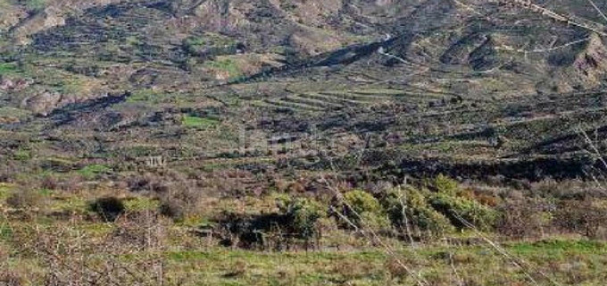 Campo agrícola a la venta en Paphos