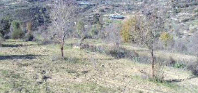Campo agrícola a la venta en Paphos