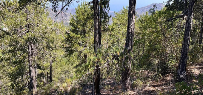 Agricultural field for sale in Nicosia