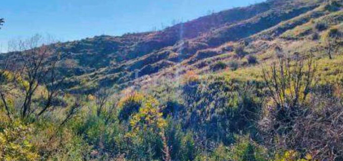 Campo agrícola a la venta en Larnaca