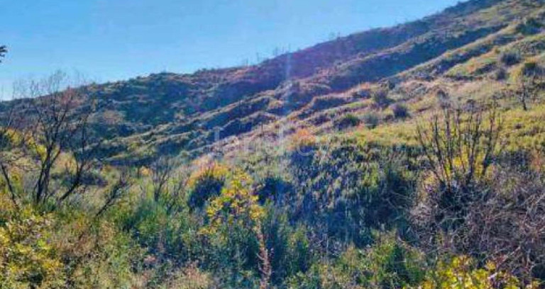 Terrain agricole à vendre à Larnaca