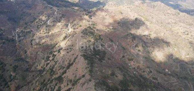 Agricultural field for sale in Nicosia