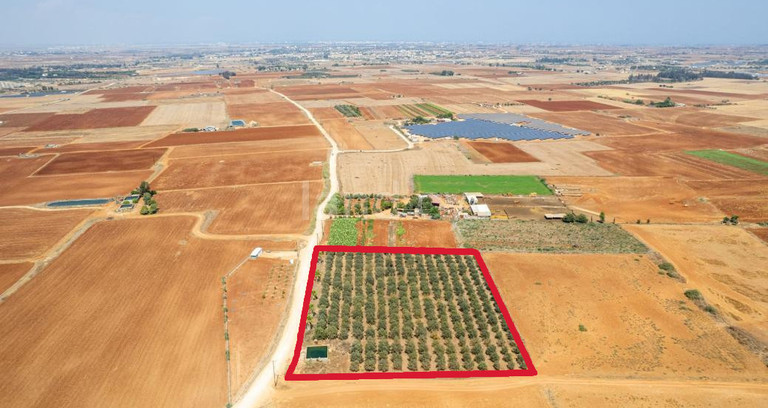 Campo agrícola a la venta en Avgorou
