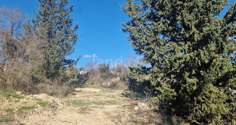 Plot for sale in Paphos