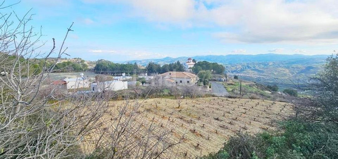 Plot for sale in Paphos