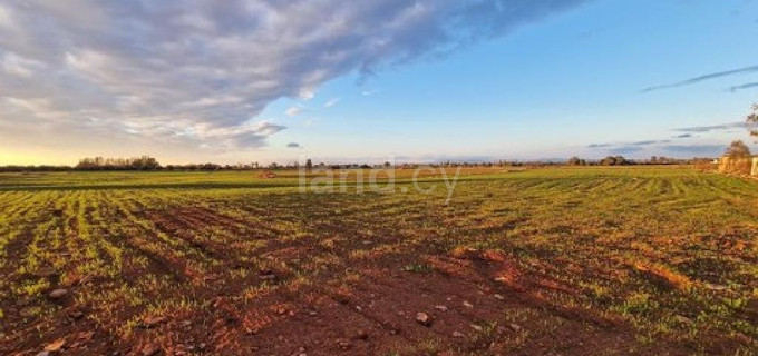 Agricultural field for sale in Larnaca