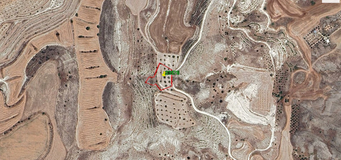 Agricultural field for sale in Larnaca