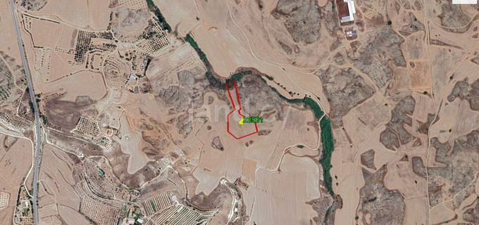 Agricultural field for sale in Larnaca