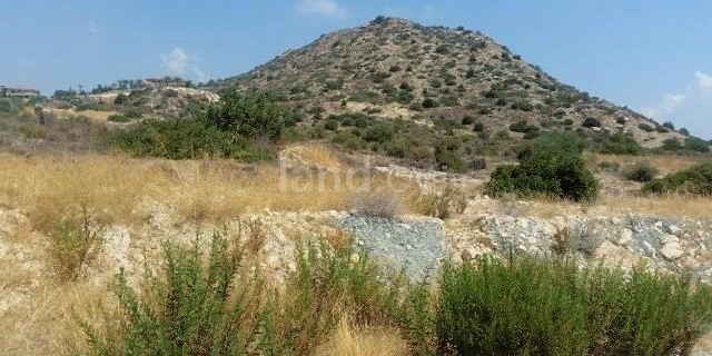Field for sale in Limassol