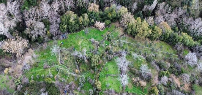 Agricultural field for sale in Limassol