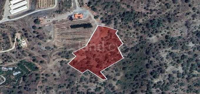 Agricultural field for sale in Limassol