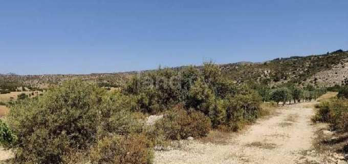 Agricultural field for sale in Limassol