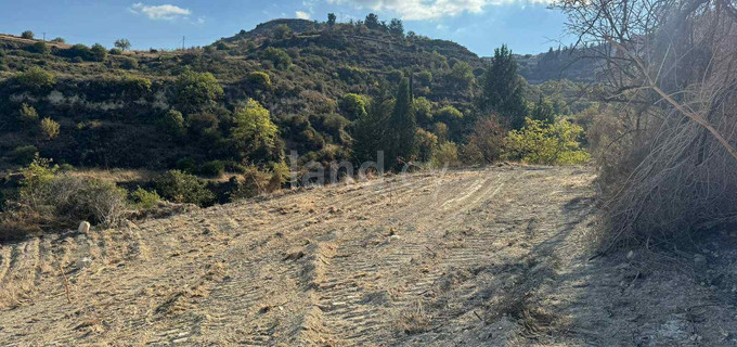 Agricultural field for sale in Limassol