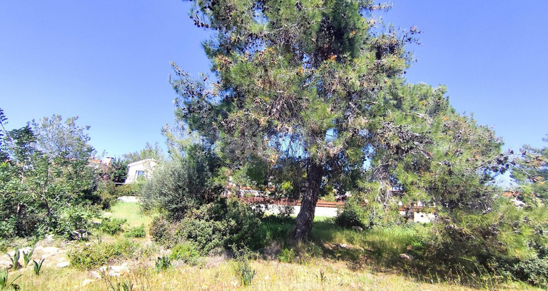 Wohnbaugrundstück in Limassol zu verkaufen