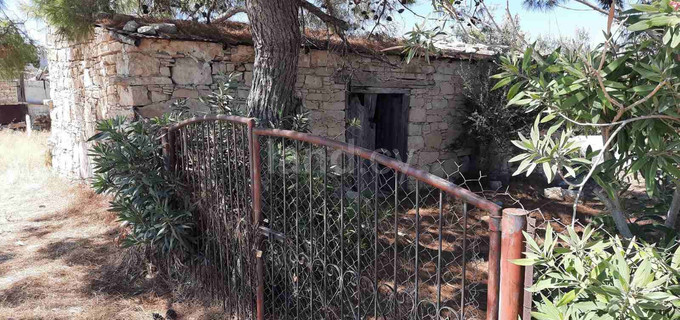 Field for sale in Limassol