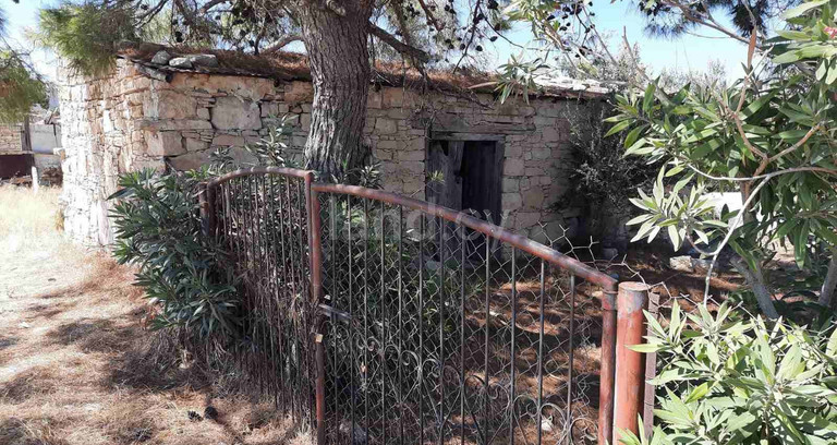 Field for sale in Limassol