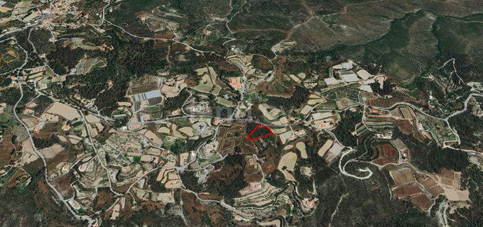 Agricultural field for sale in Limassol