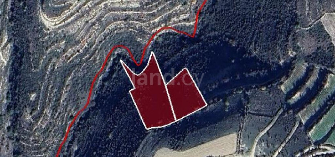 Agricultural field for sale in Limassol