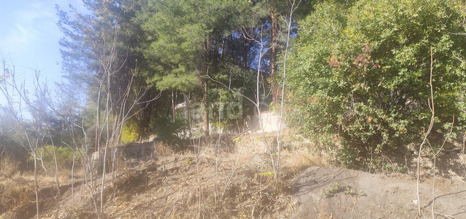 Field for sale in Limassol