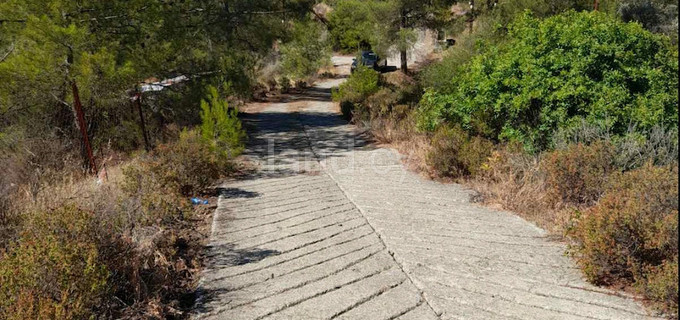 Field for sale in Limassol