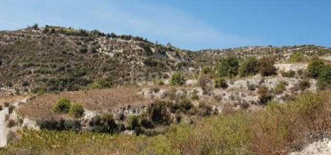 Agricultural field for sale in Limassol