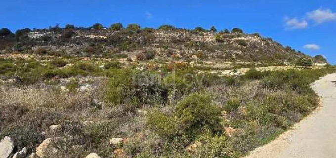 Field for sale in Limassol