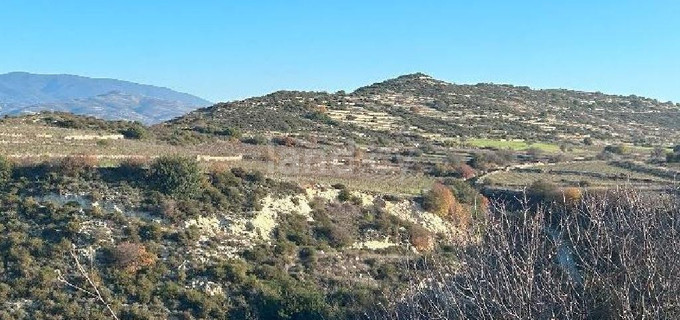 Agricultural field for sale in Limassol