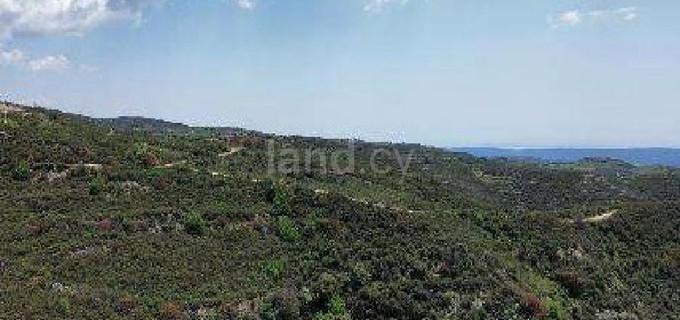 Agricultural field for sale in Limassol