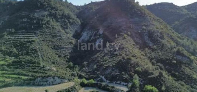 Agricultural field for sale in Limassol