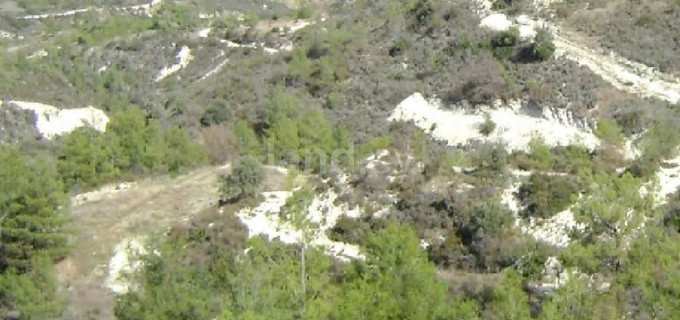 Agricultural field for sale in Limassol