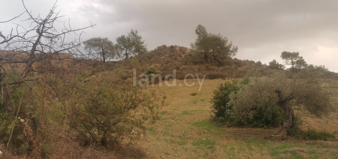 Field for sale in Limassol