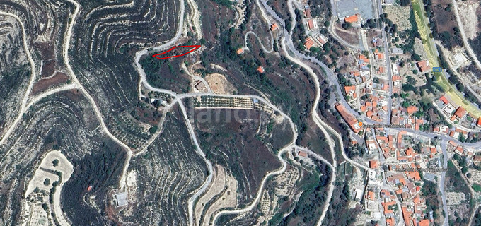 Agricultural field for sale in Limassol