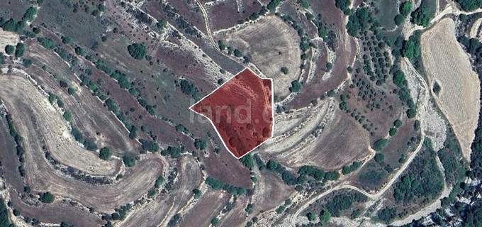 Agricultural field for sale in Limassol