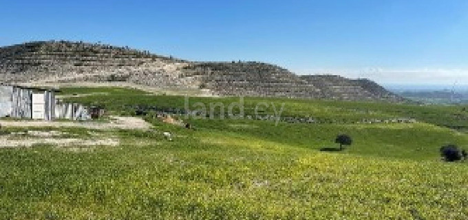 Сельскохозяйственное поле на продажу в Никосия