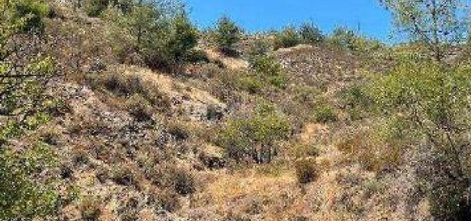 Campo residencial a la venta en Nicosia