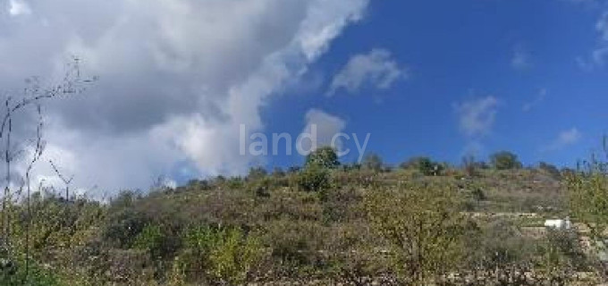 Agricultural field for sale in Paphos