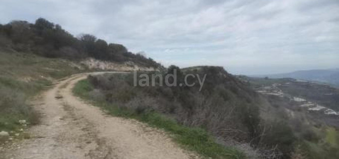 Campo agrícola a la venta en Paphos