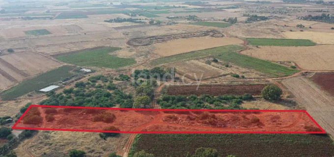 Αγροτικό αγροτεμάχιο προς πώληση - Λιοπέτρι