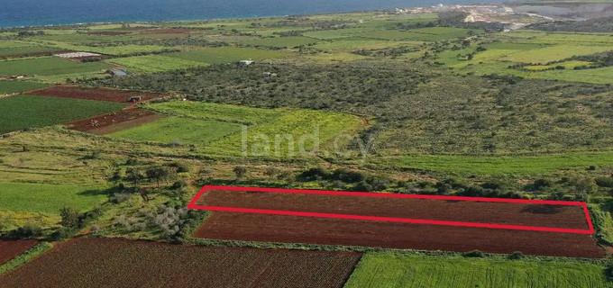 Τουριστικό οικόπεδο προς πώληση - Λιοπέτρι