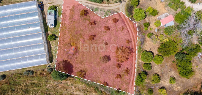 Fält avsett för boende till salu i Paphos