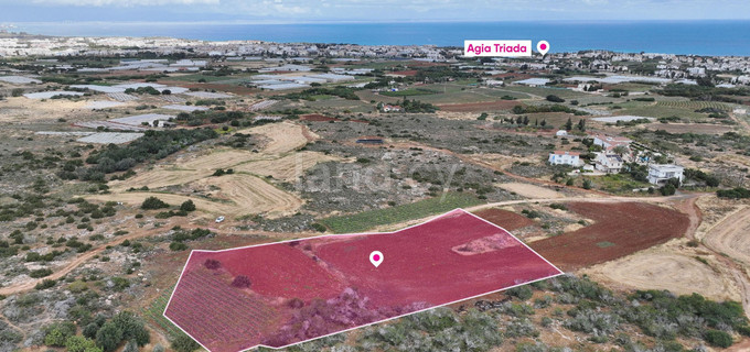 Jordbruksfält till salu i Paralimni