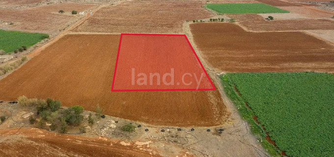 Jordbruksfält till salu i Frenaros