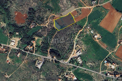 Agricultural field for sale in Paralimni