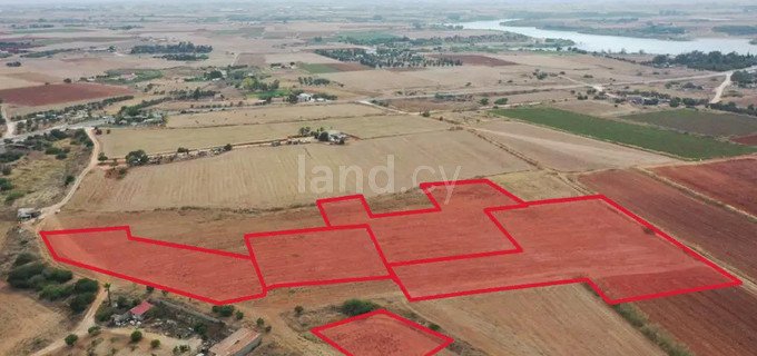 Jordbruksfält till salu i Avgorou