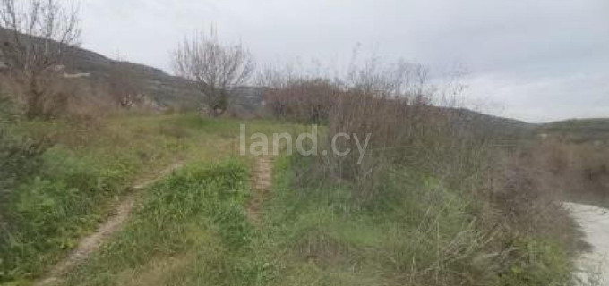 Campo agrícola a la venta en Paphos
