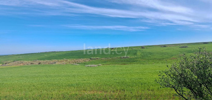 Terrain agricole à vendre à Nicosie