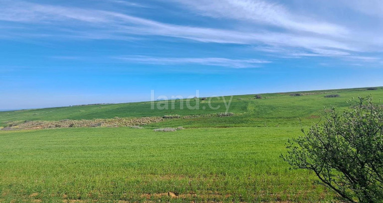 Terrain agricole à vendre à Nicosie